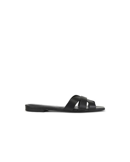 Raye White Almodovar Flat
