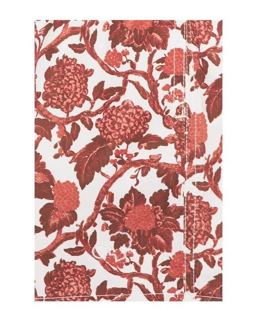 ARRELS Barcelona Red Kabak X Lazaro Rosa Violan Classic Swim Shorts for men