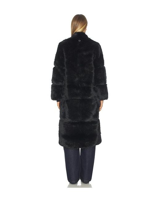 Apparis Black Sylke Sable Coat