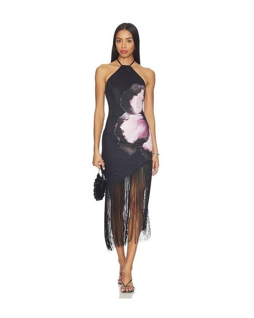 MORE TO COME Black Deirdre Halter Midi Dress