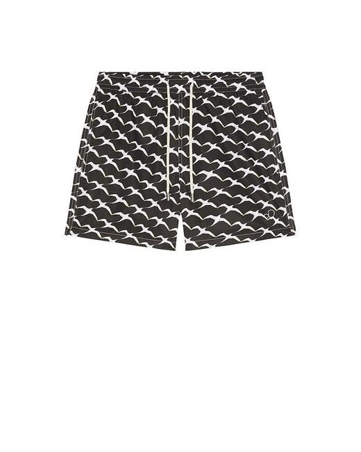 ARRELS Barcelona Black Birds X Clara Arn?S Classic Swim Shorts for men