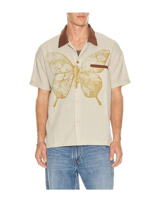 Ryoko Rain Blue Butterfly Pinstripe Button Up Shirt for men