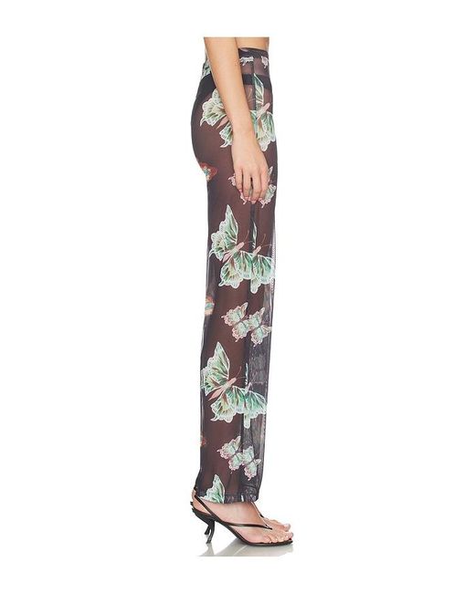 Juliet Johnstone Black Mesh Pant
