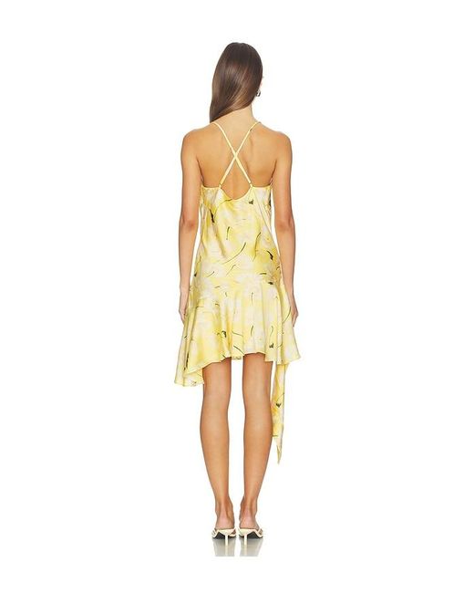 Astr Yellow Paloma Dress