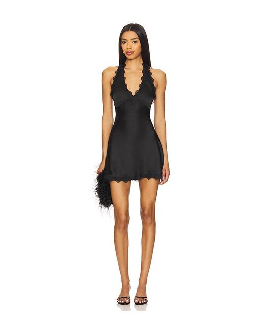 Lioness Black Kleid Stars Align