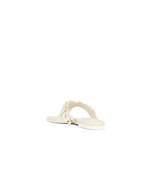Jonathan Simkhai White Elin Natural Shell Beaded Thong Sandal