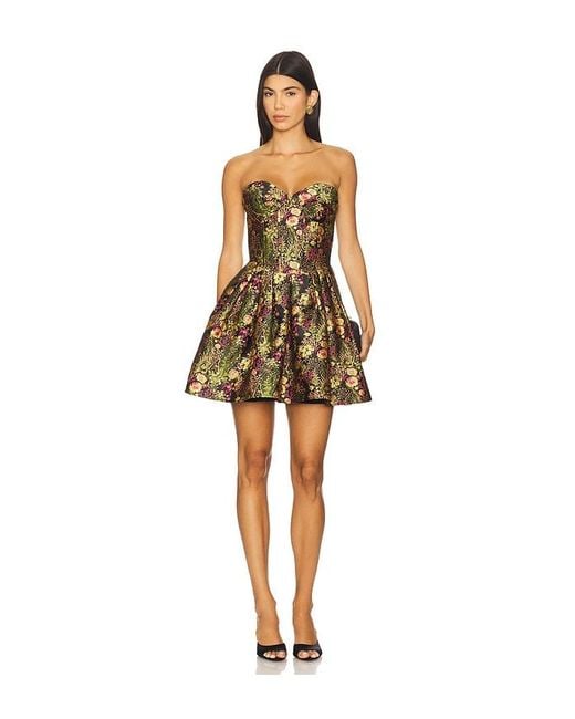 Elliatt Multicolor Cindy Strapless Mini Dress