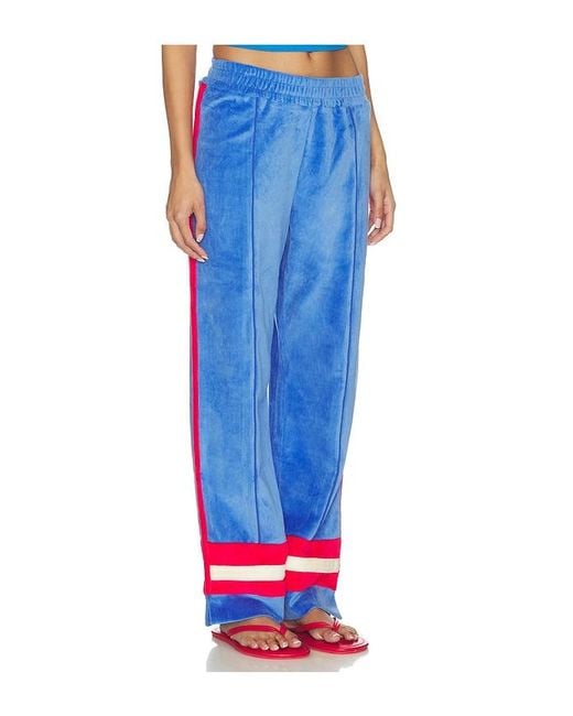 Araminta James Blue Velour Stripe Trackpant