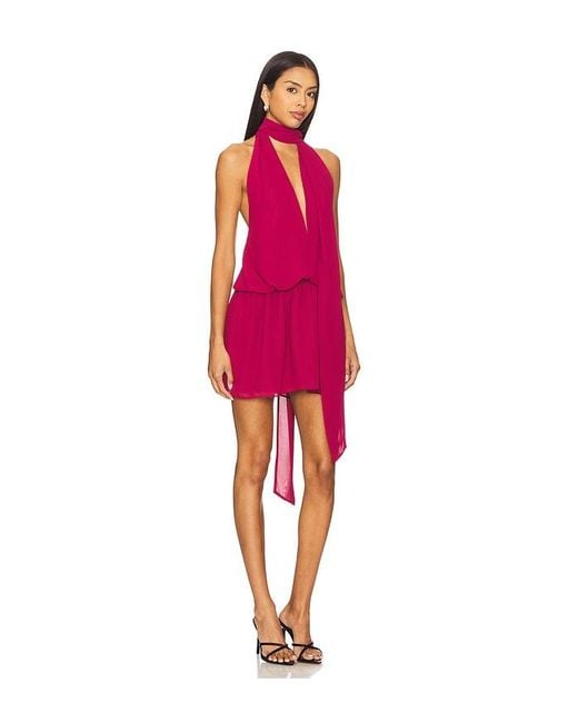 Lovers + Friends Red Michelle Mini Dress