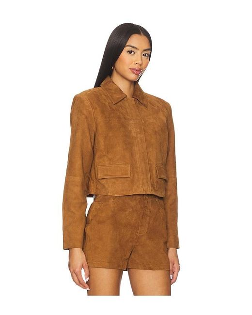 Cami NYC Brown Sullivan Suede Jacket