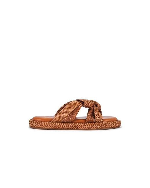 SCHUTZ SHOES Brown Kali Flat