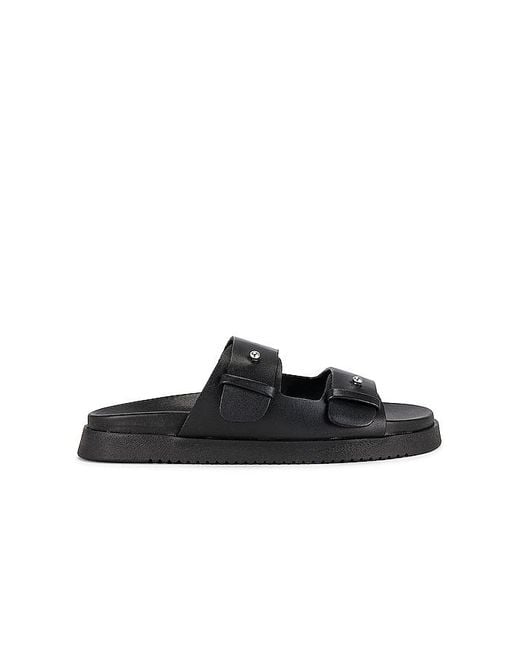 Steve Madden Mauriel サンダル Black