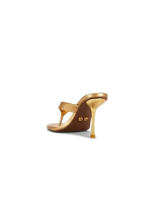 Cult Gaia Multicolor Stella Sandals