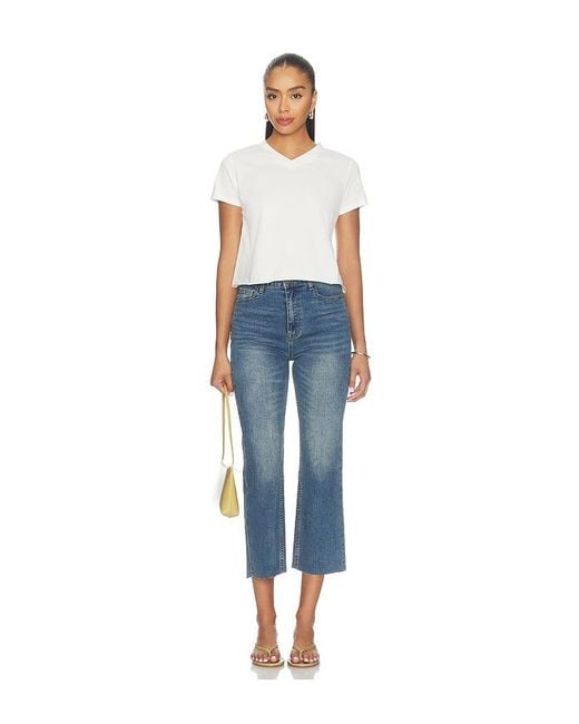 Lioness Blue North Light Tee