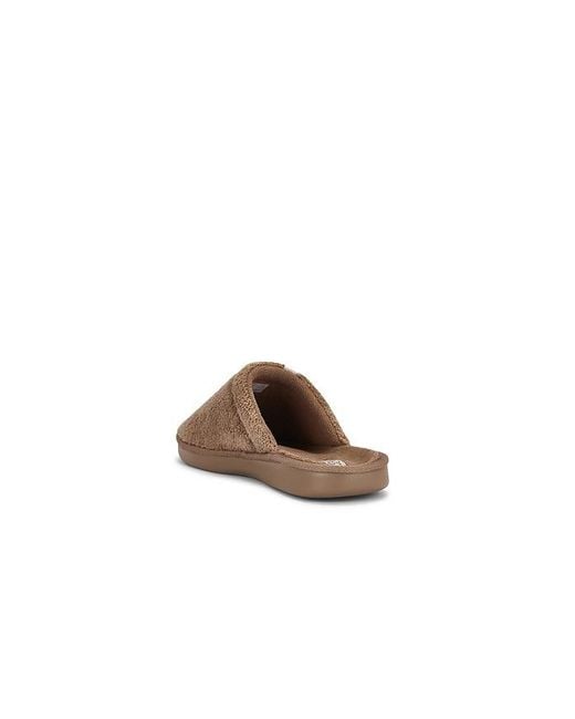 Brunch Brown Essential for men