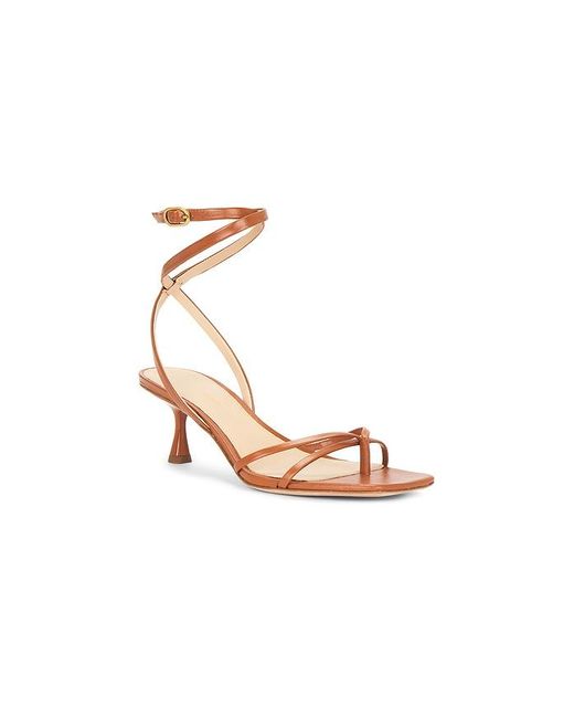 Veronica Beard Multicolor Caterina Strappy Sandal