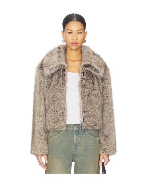 Lamarque Multicolor Jacke Nova