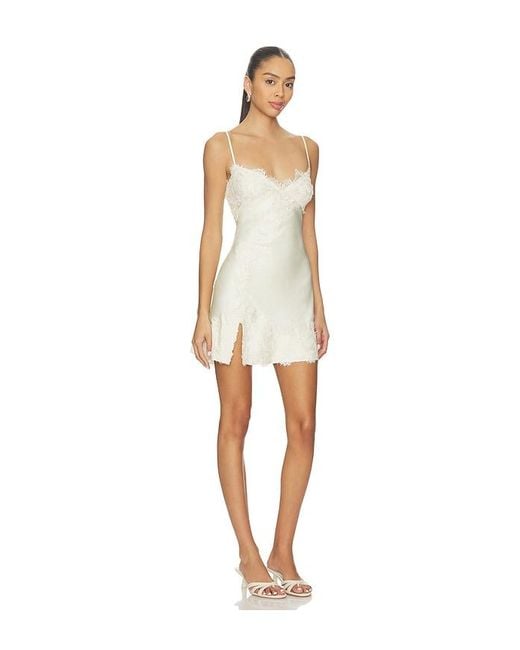 Bardot White Alerie Lace Satin Mini Dress
