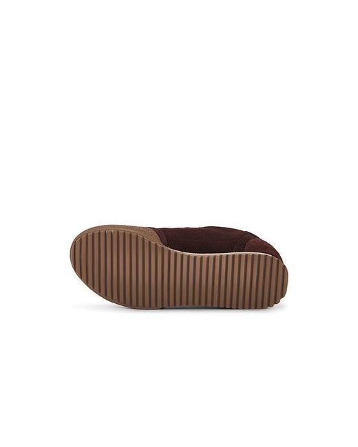 AllSaints Brown Harri Sneaker