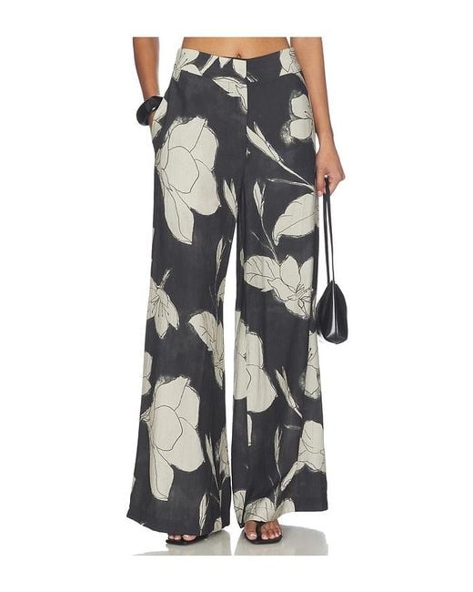 JBQ Multicolor Arlan Pant