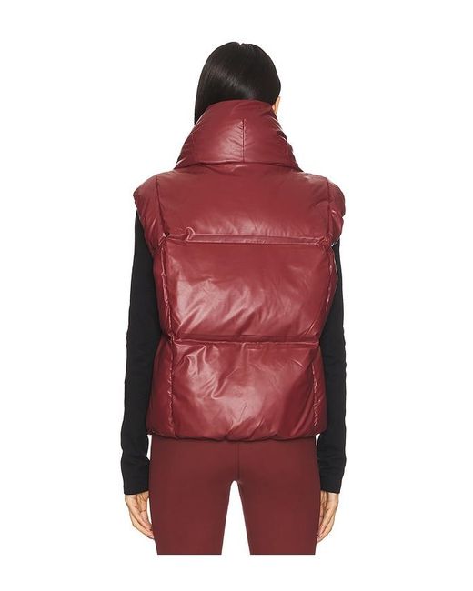Goldbergh Red Balou Bodywarmer