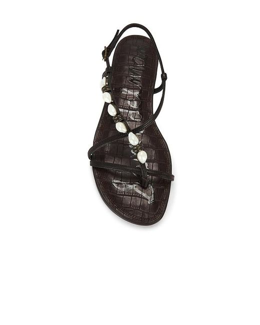 Sam Edelman Black Calla 2 Sandal