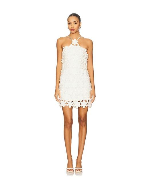 Alexis Lily ドレス White