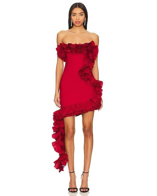 Nbd Red Wisteria Mini Dress