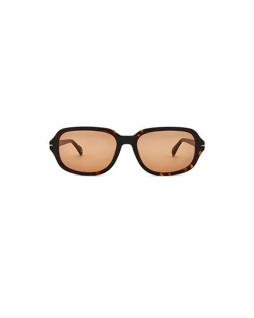 SAD Eyewear Brown Dusk Tinted Sunglasses for men