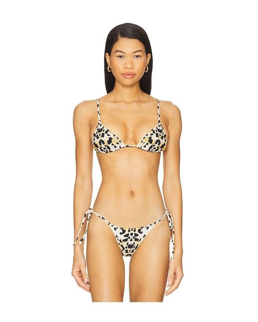 Tropic of C Multicolor Equator Bikini Top