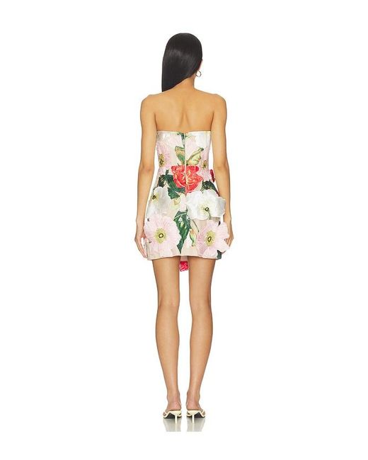 Elliatt Red Solara Mini Dress