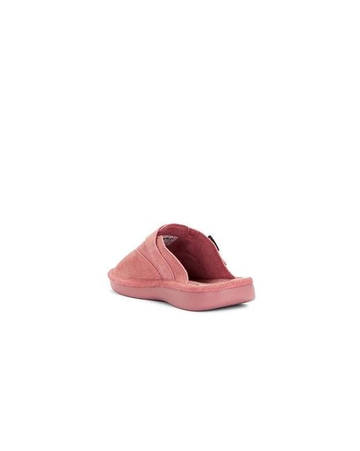 Brunch Slippers Amour in Pink für Herren