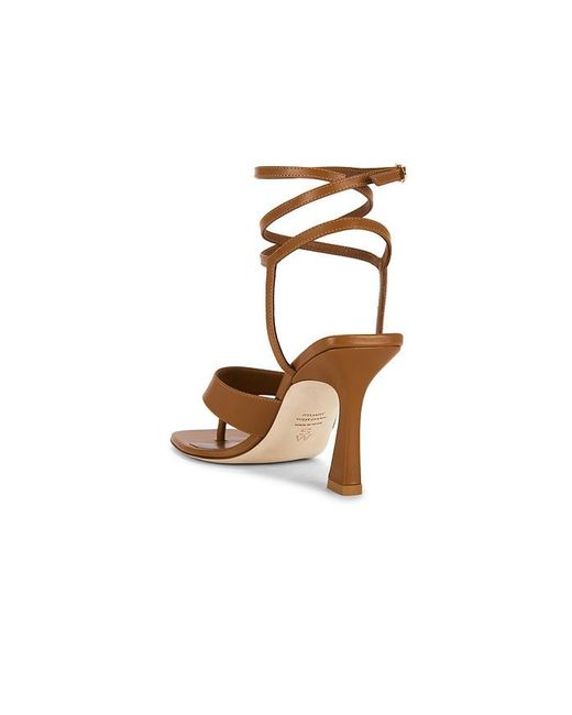 Stuart Weitzman Multicolor Vinnie Wrap Thong Sandal 85