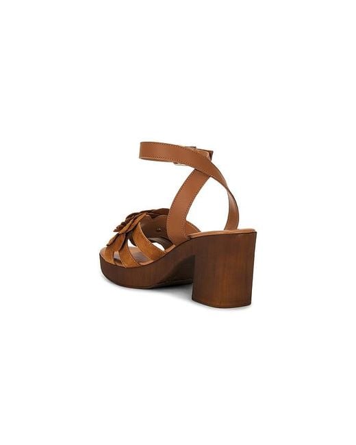 Seychelles Brown Chasing Sunsets Sandal