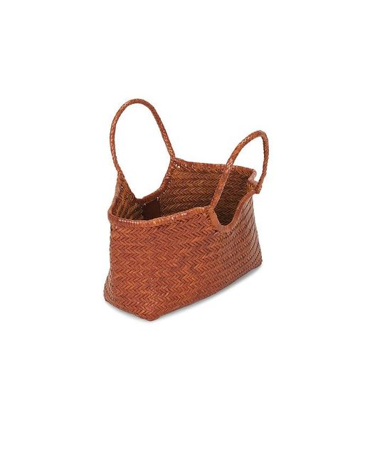 Dragon Diffusion Brown Nantucket Basket Big Bag
