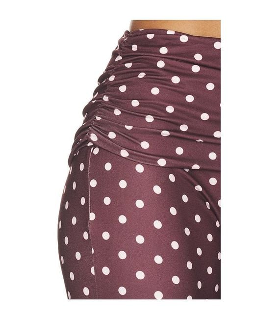 Tiger Mist Red Vali Polka Dot Capri Pant