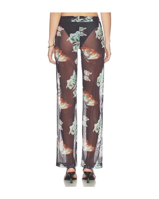 Juliet Johnstone Black Mesh Pant