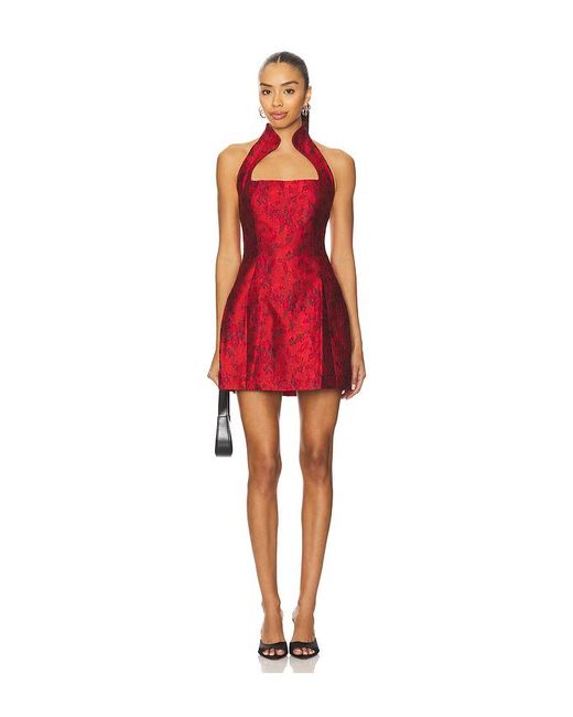 Lovers + Friends Red Molli Mini Dress