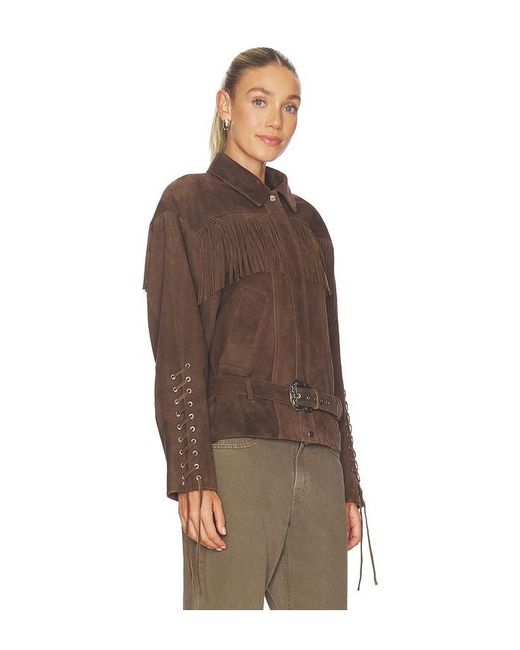 Lamarque Brown Kyel Suede Jacket