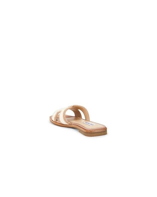 Steve Madden White Hadyn Sandal