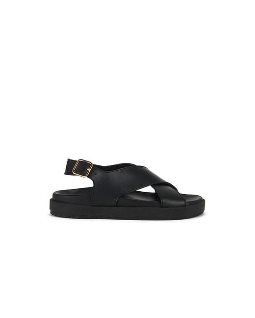 Alohas Nico Sandals Black