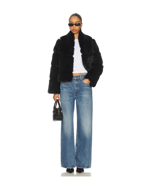 Apparis Blue Sai Sable Coat