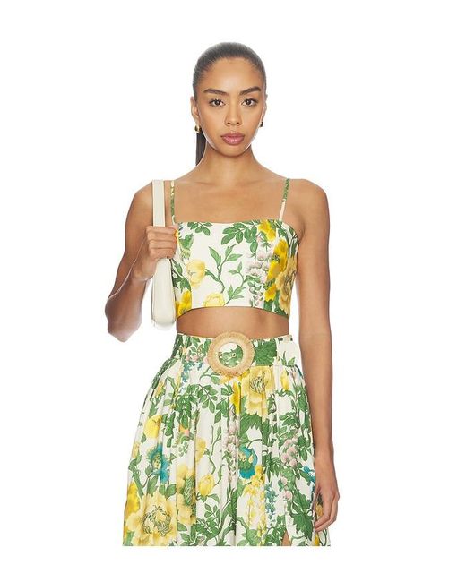 Cara Cara Green Seema Top