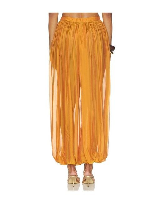 retroféte Orange Evolet Chiffon Pant