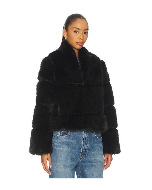 Apparis Blue Sai Sable Coat