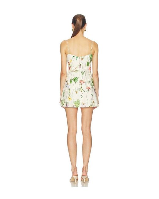 Cara Cara Multicolor Cherry Mini Dress