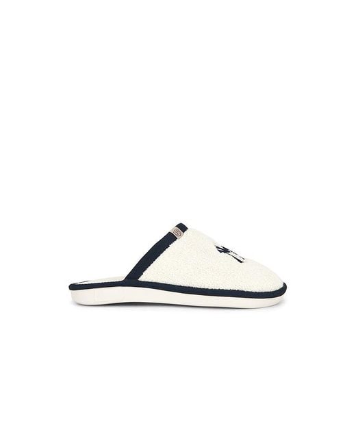 Brunch Black Essential Yankees for men