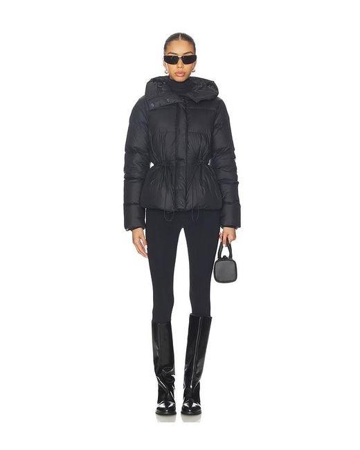 Canada Goose Blue Montgomery Jacket