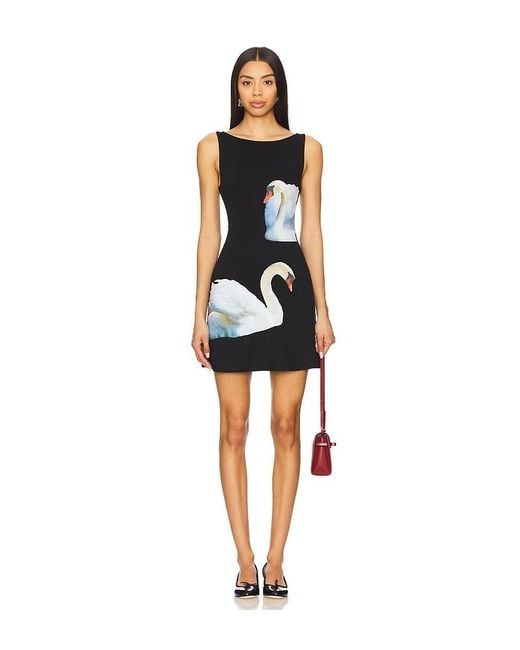 sachin and babi light blue dress Black Swan Dress  MONICA MONIQUE Fashion House