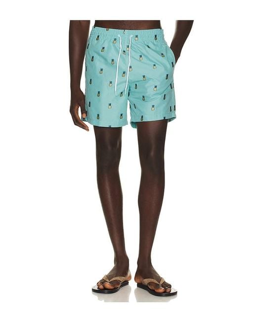 Trunks Surf & Swim Green Sano 6.5 Swim Short for men